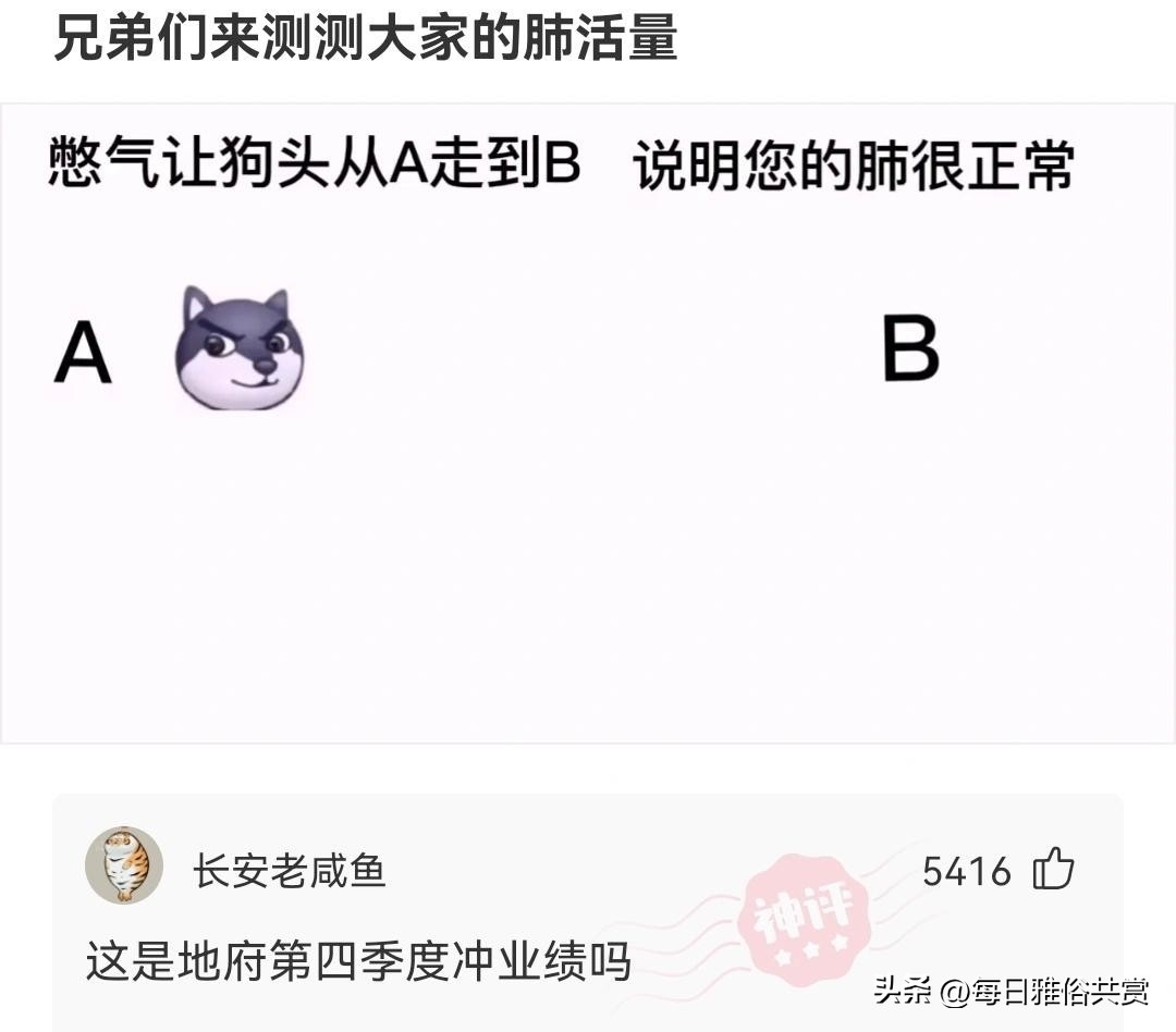 【盐选神回复】这COS的是什么