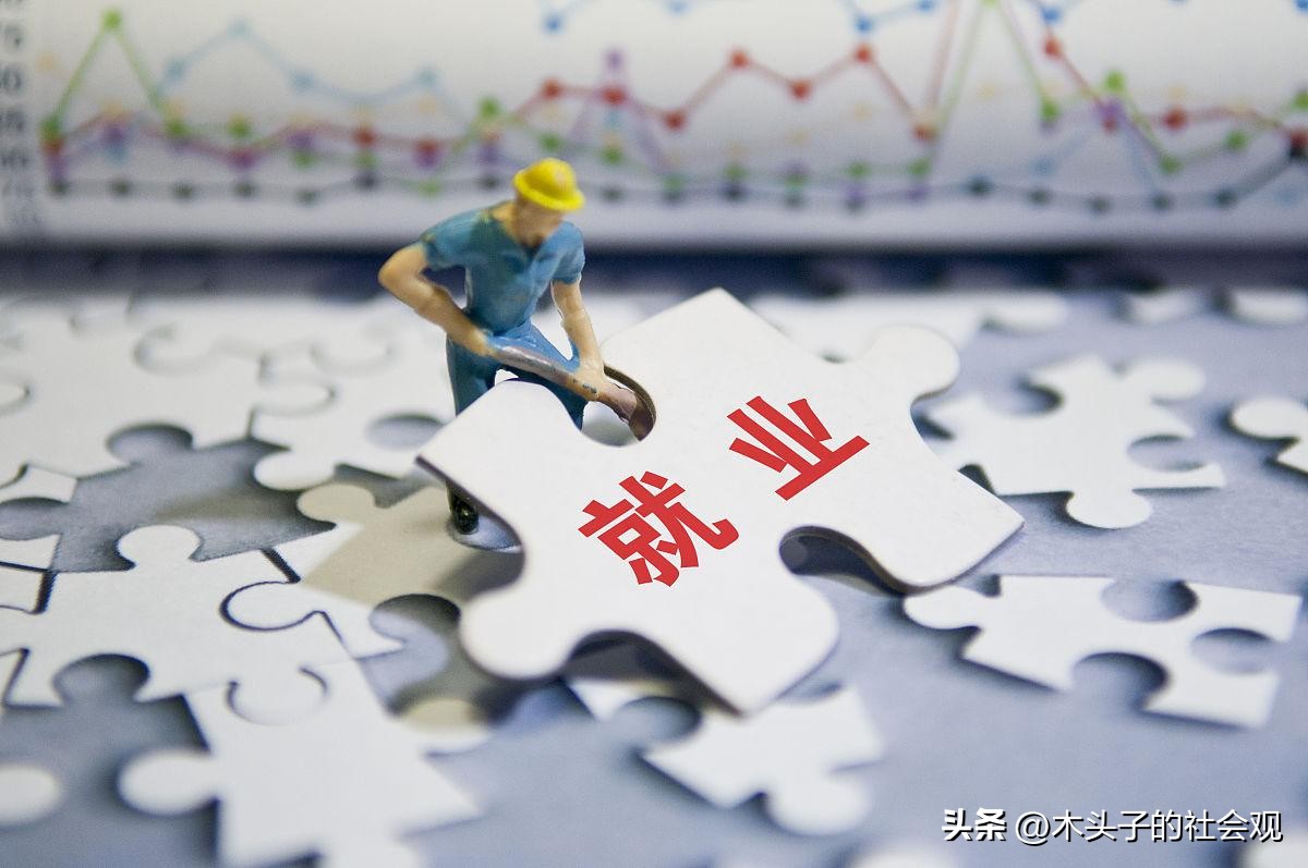 90程序员卖羊粪,90后程序员卖羊粪直播间