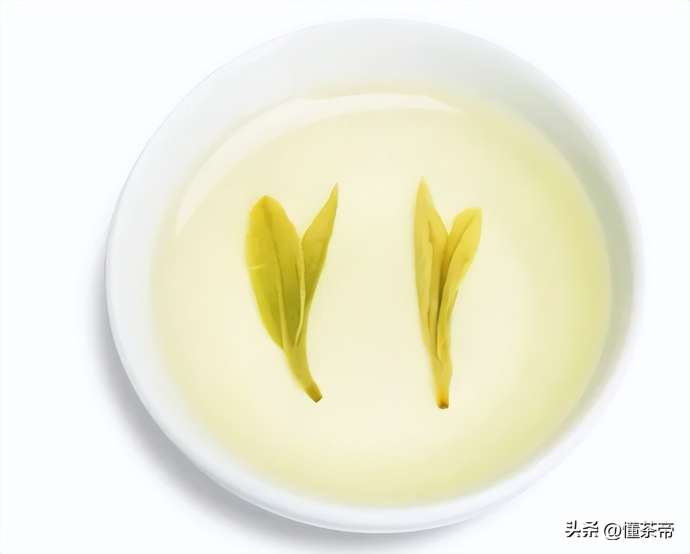 如果茶叶有高考，六大茶类中谁会高中“状元”？