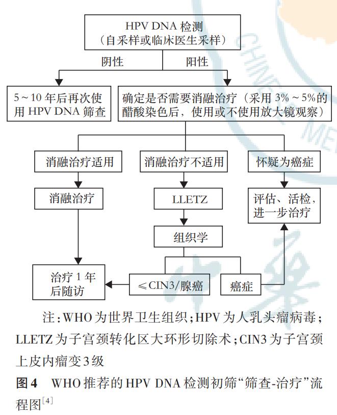 HPVDNA检测应用于健康体检人群子宫颈癌初筛的专家共识