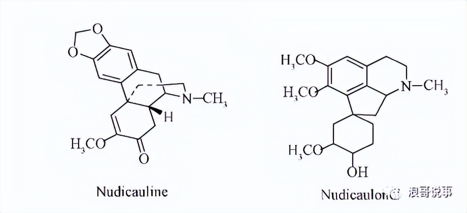 介于*粟罂**与虞美人之间的物种--冰岛*粟罂**（野*粟罂**）