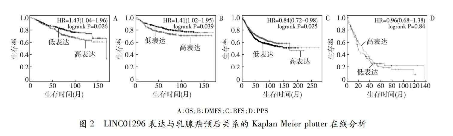乳腺癌组织低分化,乳腺癌的分子生物学检测意义