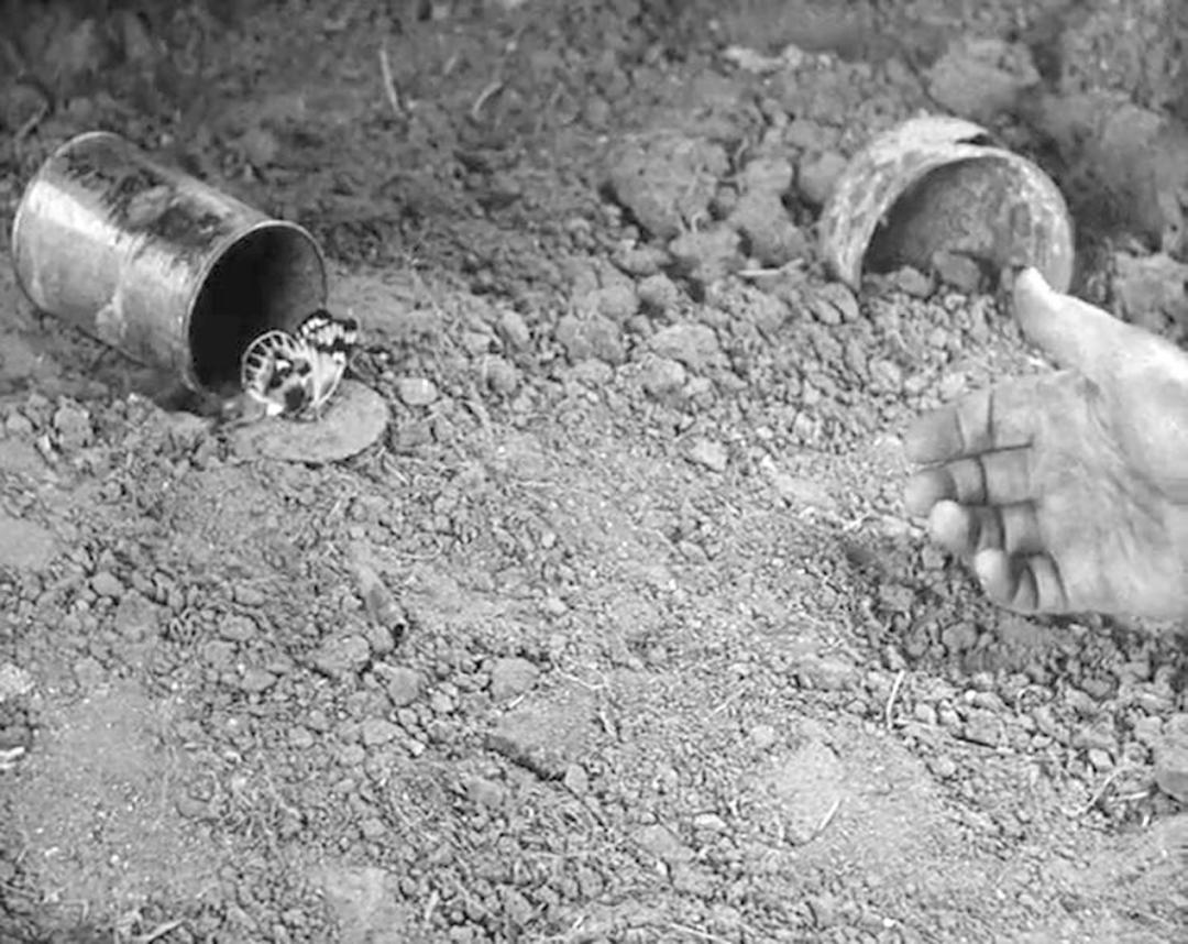 一上映就登票房榜首看完大呼过瘾,首播便拿下收视第一