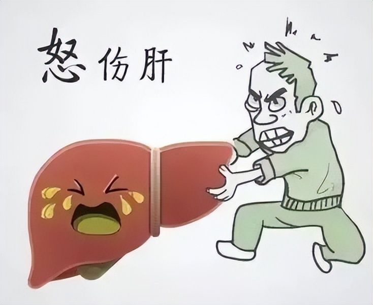 肝病怎么治倪海厦,肝癌的早期症状及表现