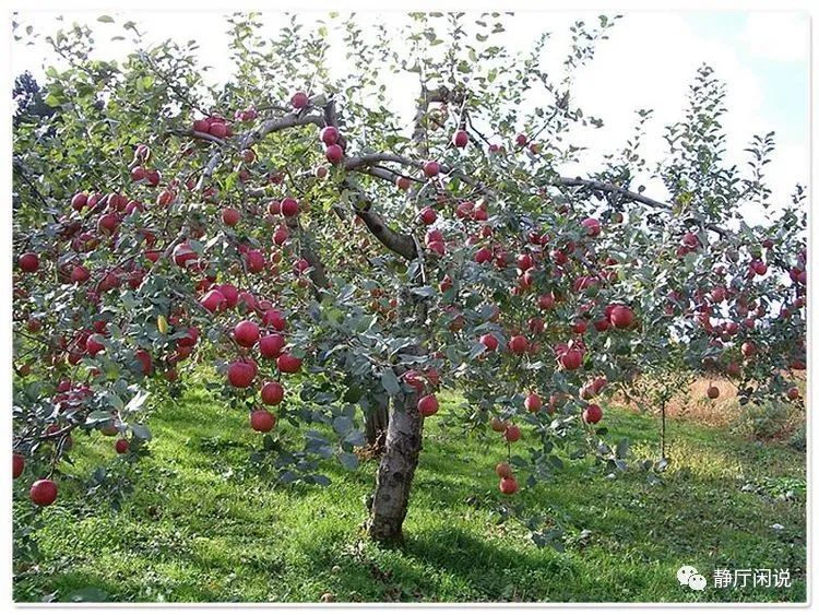 实现梦想真的有秘诀吗,实现梦想有秘诀