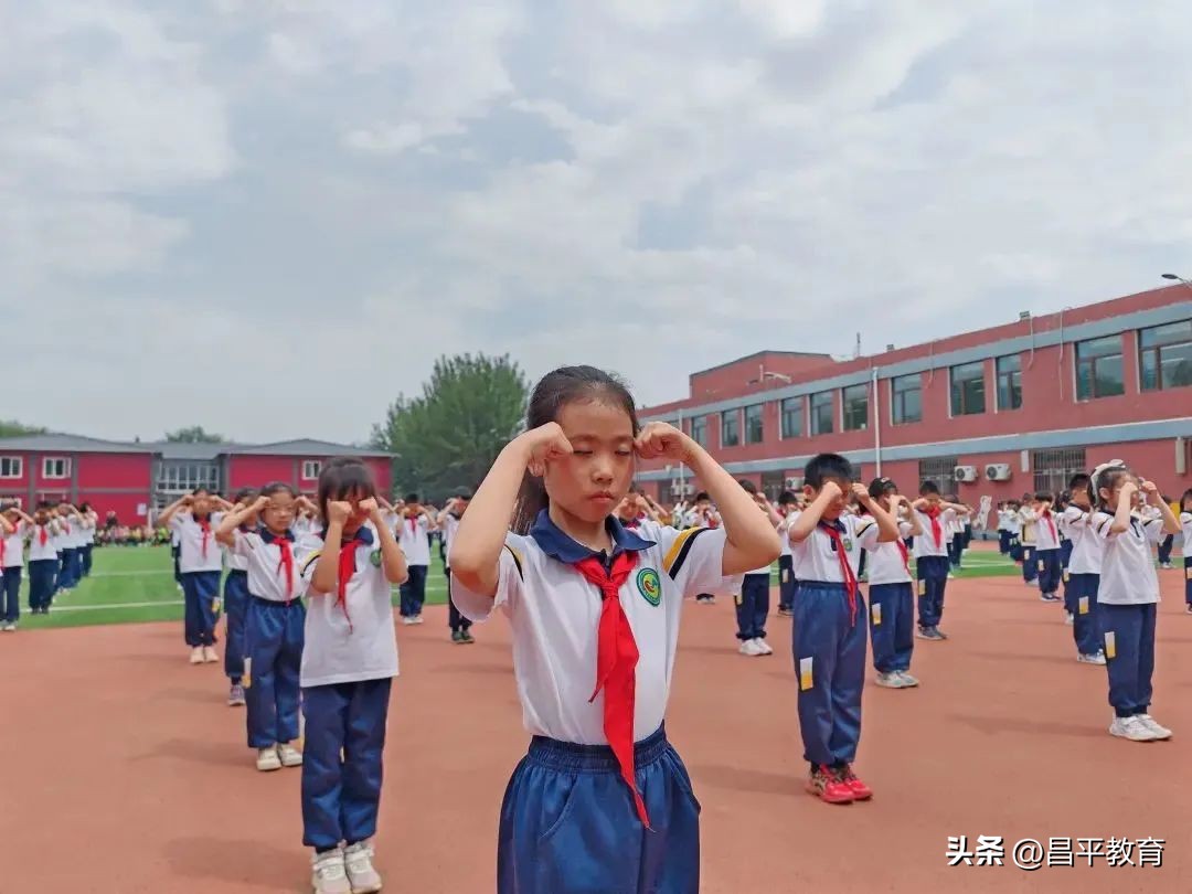 校园竞技,体育竞技青春校园