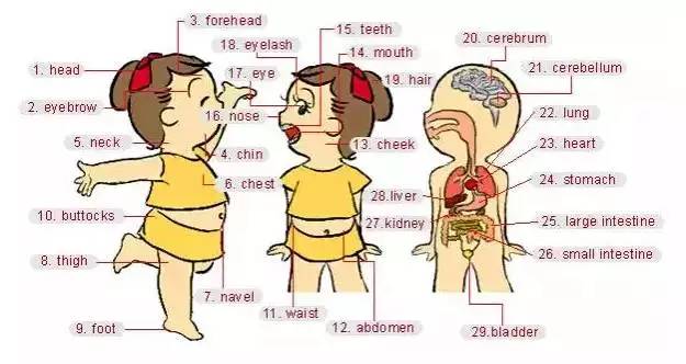 英语高频词汇听力,雅思听力场景词汇