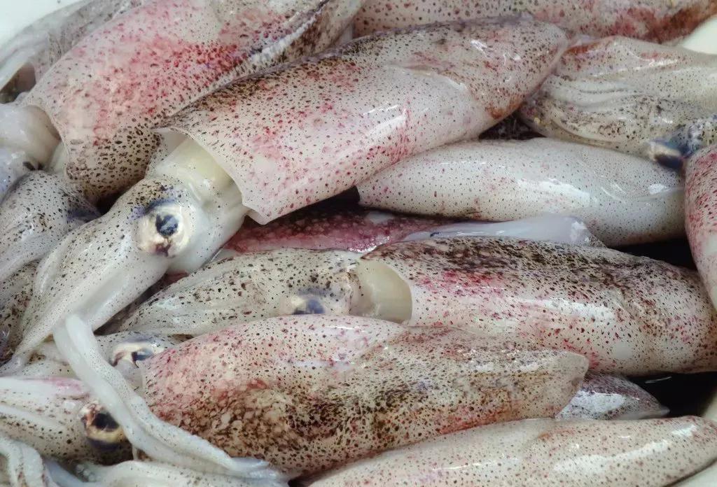 20种海鲜当地吃法,常见的几种海鲜怎么吃