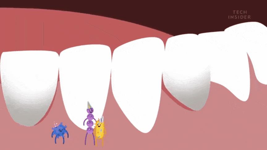 口臭吃什么食物能缓解呀,口臭肚子胀吃什么食物可以缓解