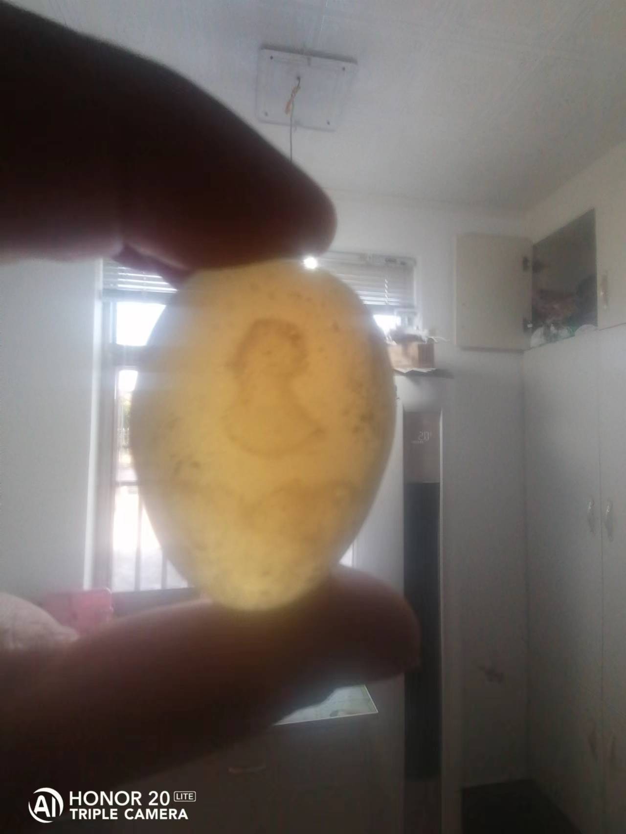 宝石欧泊石,变色龙宝石