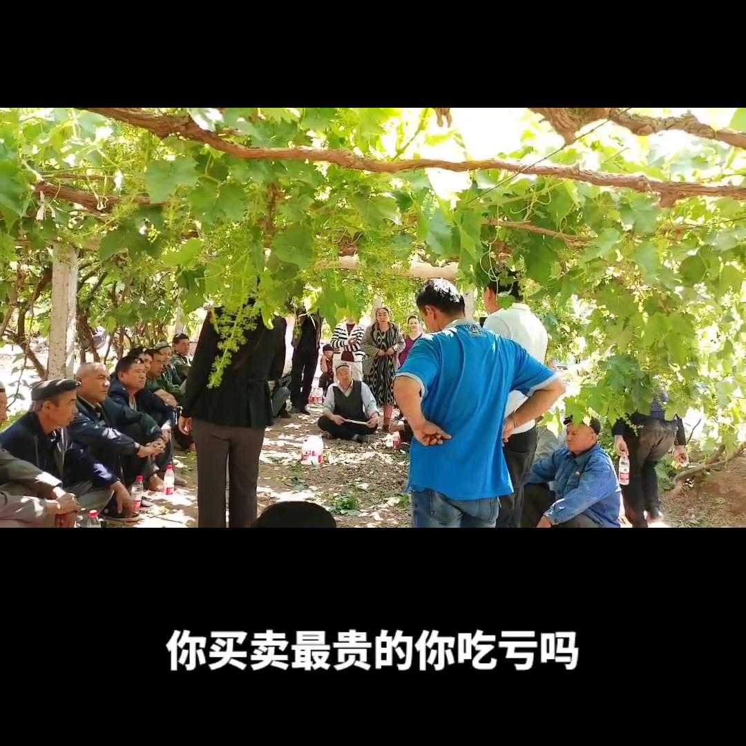 真菌和病原细菌有什么区别,真菌和细菌感染的鉴别