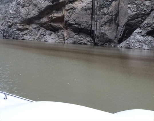 浮游植物增加会水质富营养化吗,浮游植物对水体起哪些作用