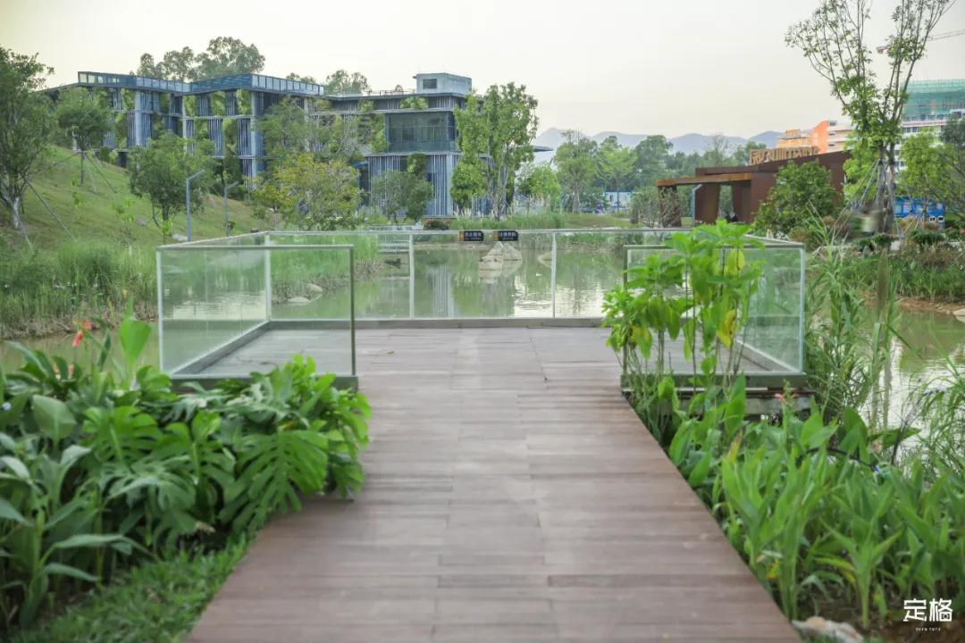 雨林打卡网红地滑梯,深圳哪里有超大型滑梯