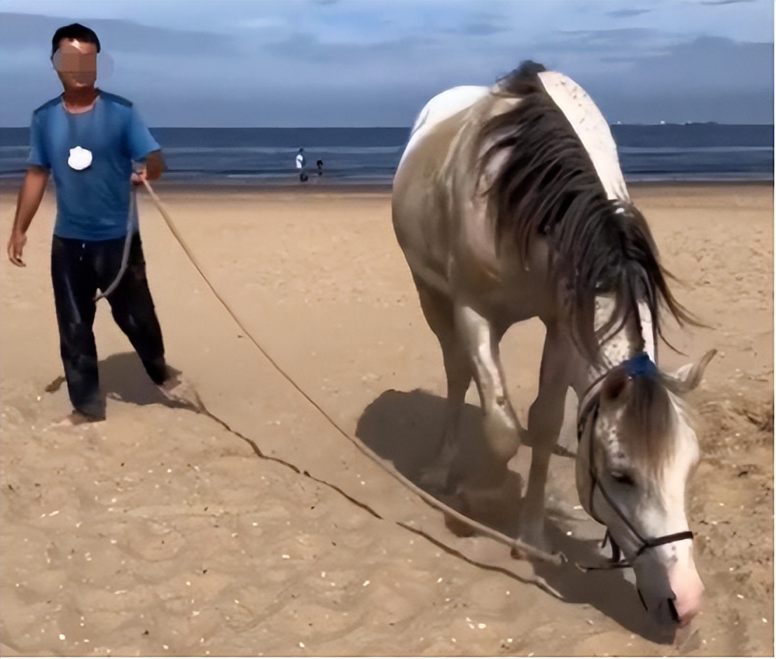 女子国庆前收21份结婚请帖,女孩国庆收25张婚礼请帖