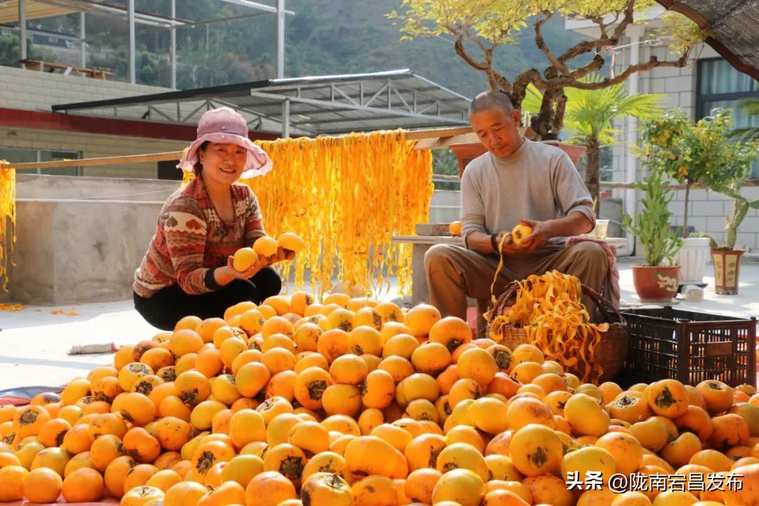陇南经济运行情况,陇南市稳经济稳增长大会召开