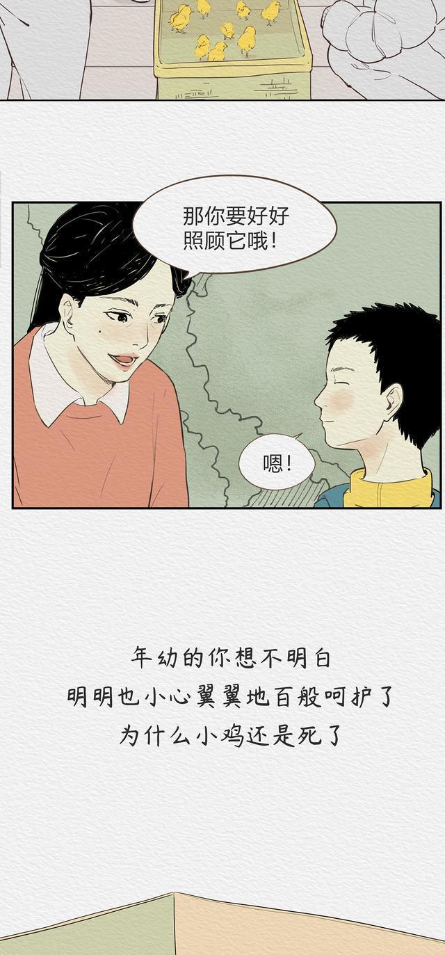 死亡教育的重要性和必要性,死亡教育与生死教育区别