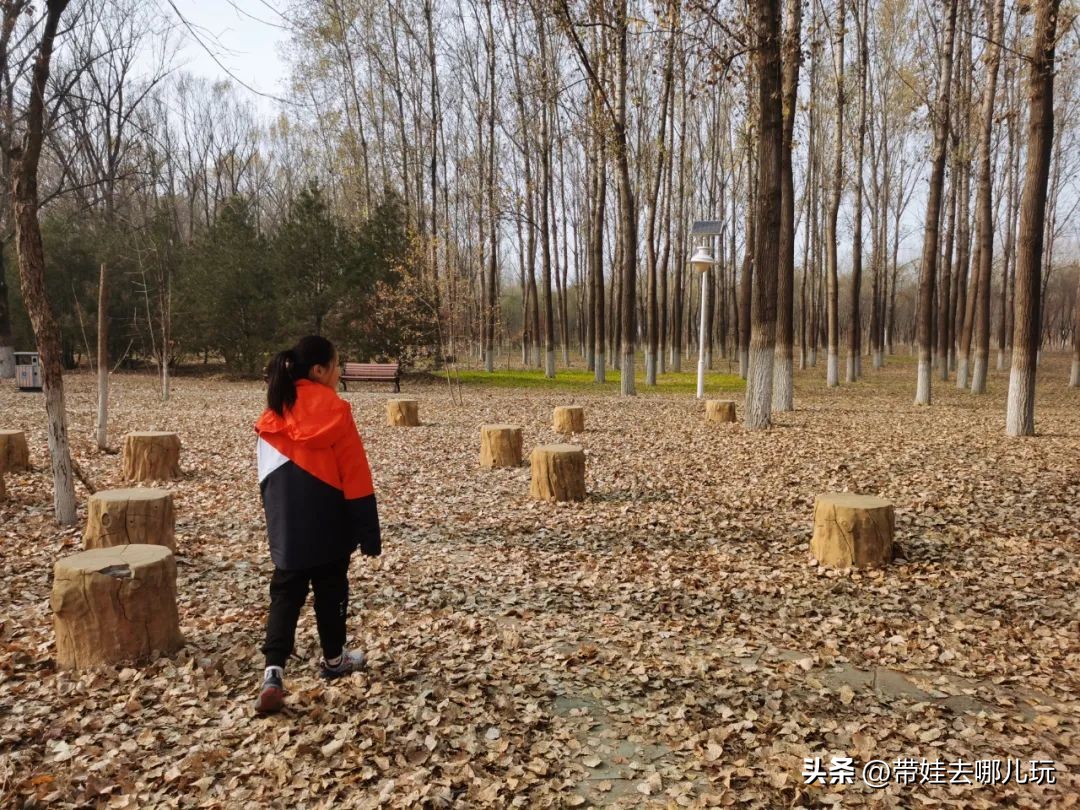 在森林公园里玩耍,中国可以骑行的森林公园