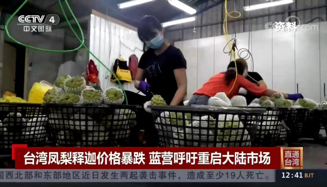 台湾柑橘滞销,台湾莲雾凤梨释迦菠萝大幅滞销