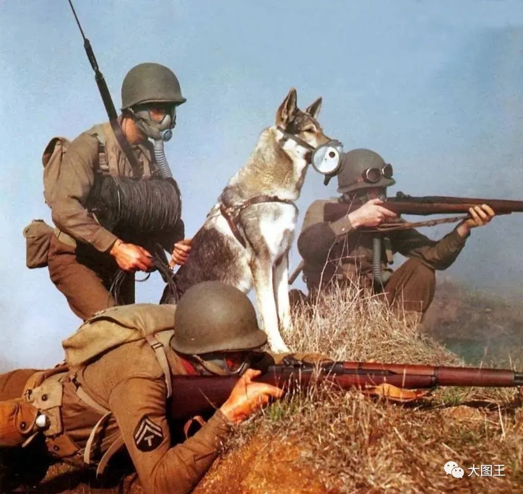 最具有神秘感的图片,有神秘感的照片