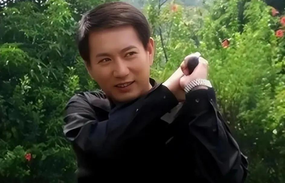 长得帅却总演反派的4位男星,演技被高估的四大男演员