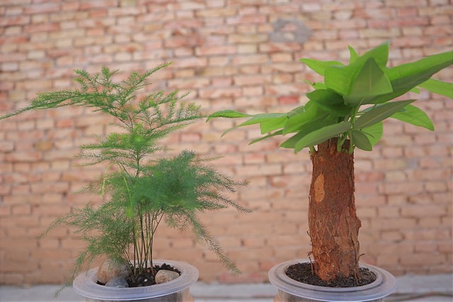 不想跟小人共事怎么跟领导说,遇到小人但是必须和他共事