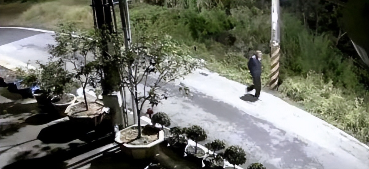 狗狗半夜狂吠被斥责,隔天回放视频感动,妈妈错怪你们了!