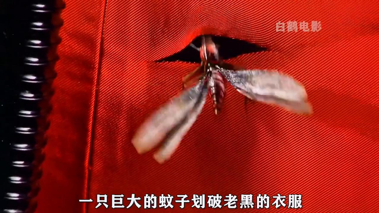 一只虫子钻进男人的大腿，不料却是外星生物#喜剧