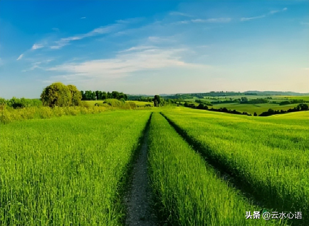 雨后大山景色新七绝,雪后山村美景七绝