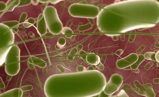 一瓶甲硝唑减轻四种疾病,甲硝唑最便宜的药