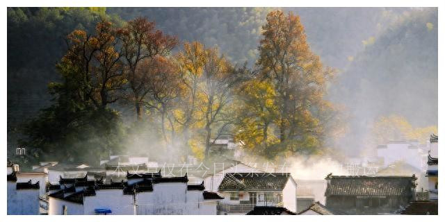 男人娶两个老婆回家，相处模式再次刷新我的三观