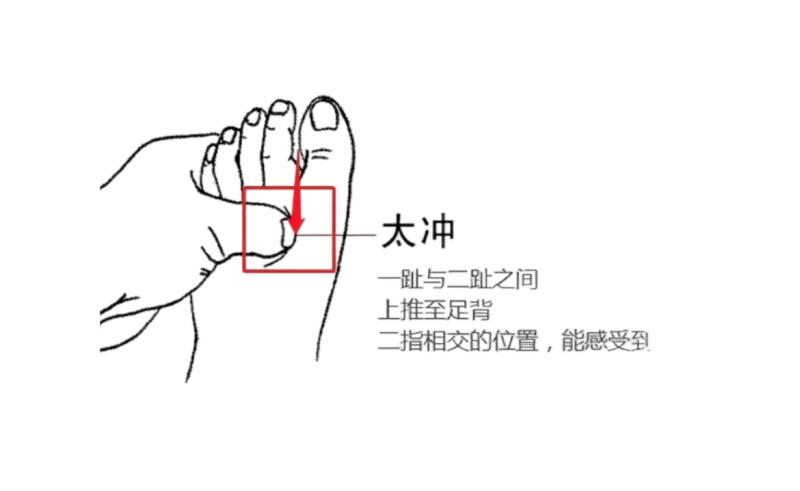 子宫肌瘤卵巢囊肿一起针灸穴位,倪海厦治疗卵巢囊肿的穴位