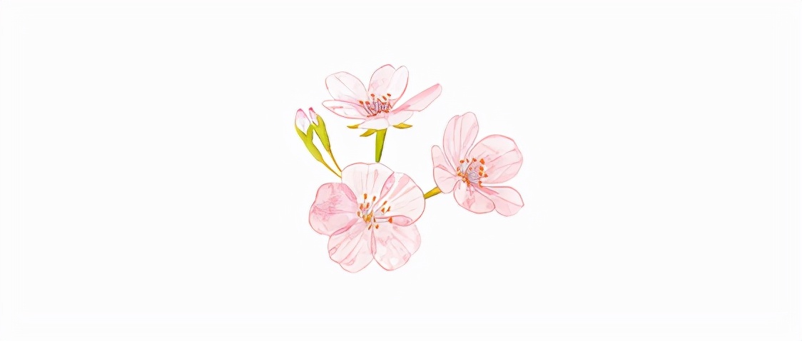 日本传统点心屋,日本的传统糕点铺