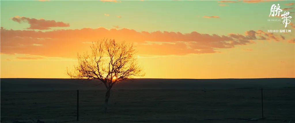 风骚律师还会有第七季吗,风骚律师之后还会出新剧吗