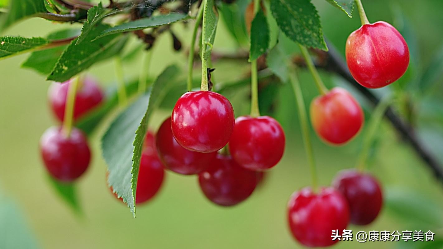 今天高考，提醒考生：少吃羊肉和樱桃，常吃3样，滋阴降火精神佳