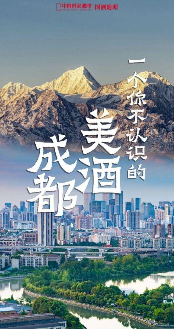 水井坊1号菌群,水井坊一号