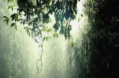 「新梦文学」同题专刊：东边日出西边雨】