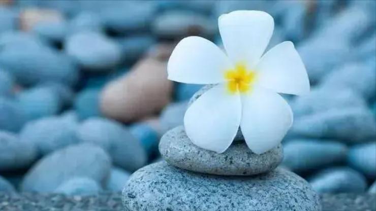 遇到小人别计较,遇到小人要学会反制