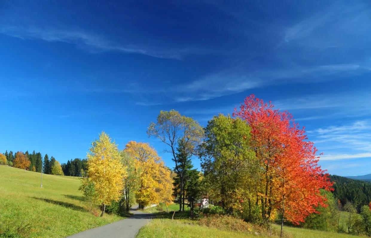 找不到工作该怎么办啊,找不到工作该怎么办应届生