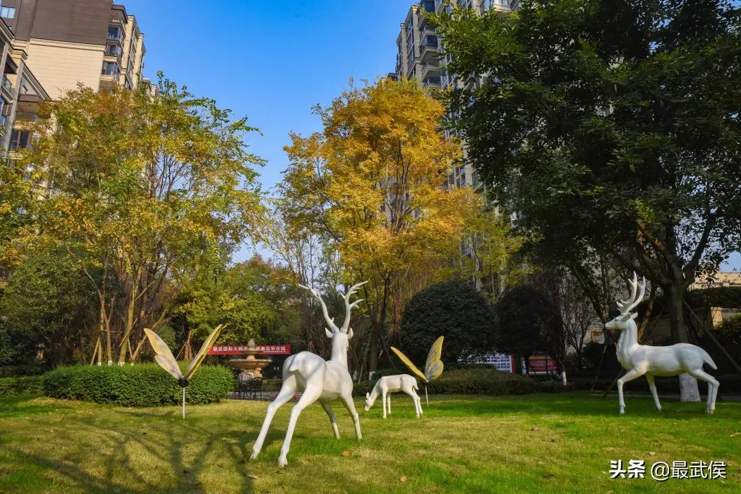 有一种幸福叫公园绿地就在家门口,有一种幸福叫阳光的温暖