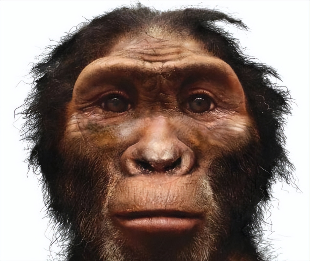 走出伊甸园,走出伊甸园是什么意思