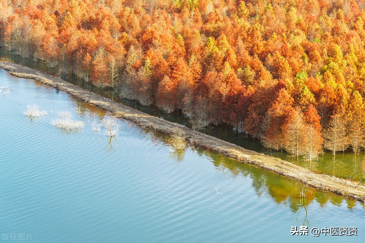 前列腺疼排尿困难,前列腺痛尿多怎么办