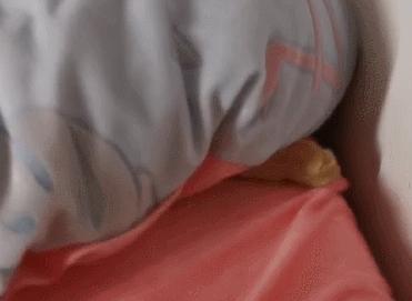 冬天猫咪一直睡觉无精打采,冬天猫咪睡觉会感觉冷吗