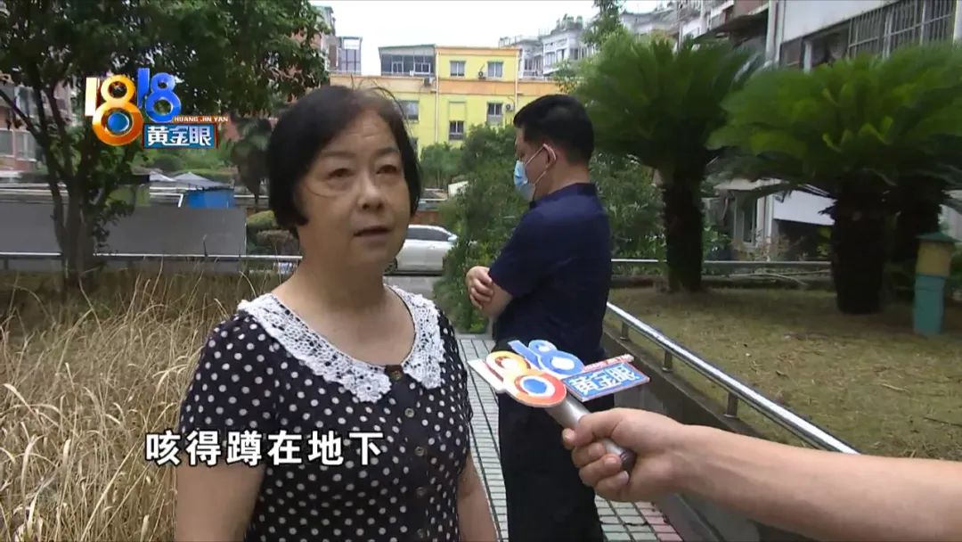 小区里的树被物业喷农药药死,小区里果子成熟了物业打农药