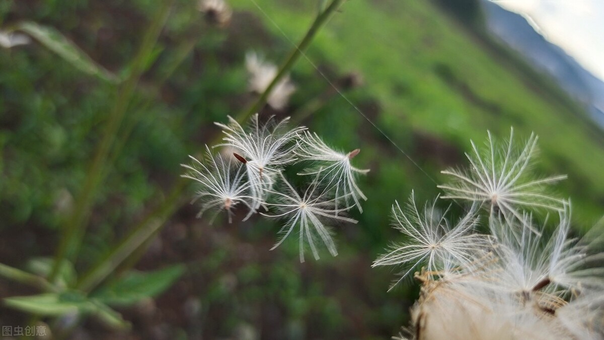 寻找失散40年双胞胎姐妹,寻找失散多年的妹妹20年