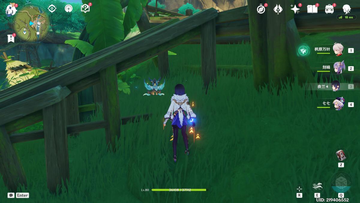 散兵风行迷踪飞行bug,风行迷踪清泉镇卡bug