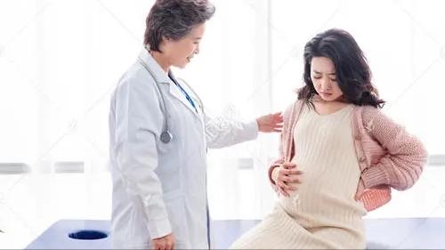 怀孕后养宠物的危害有哪些,孕早期养宠物有哪些危害