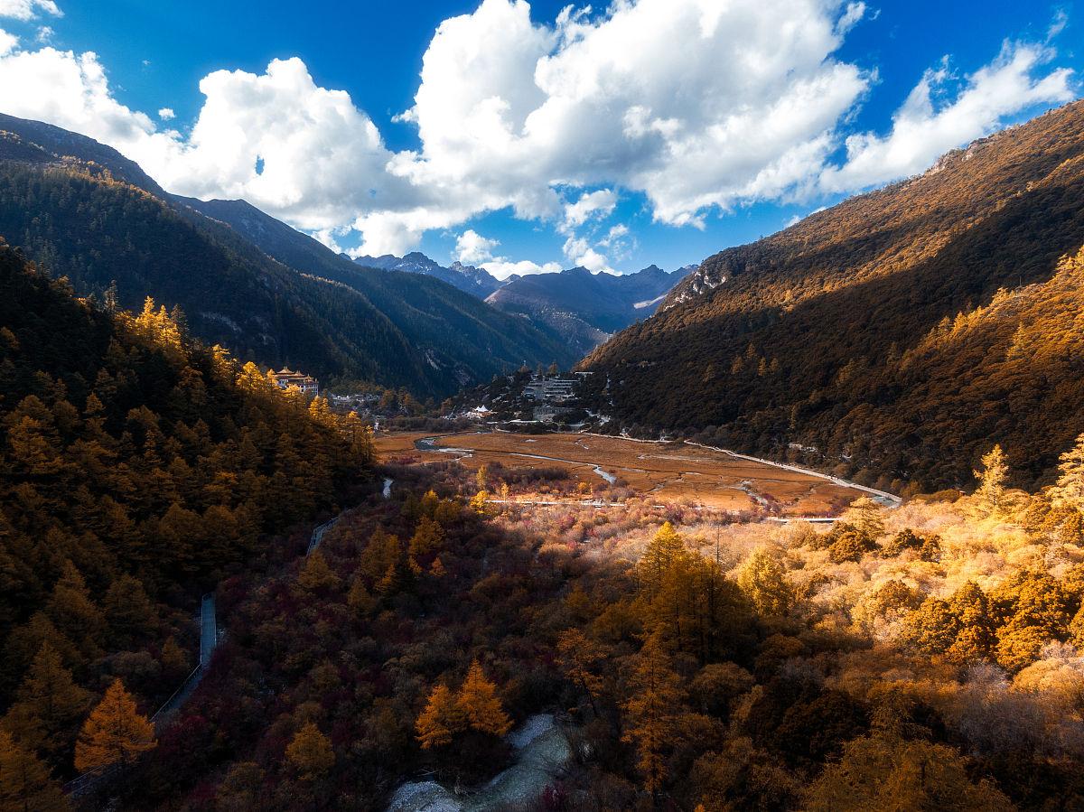 游客98元买走价值3000元虫草,用98元买走60根虫草