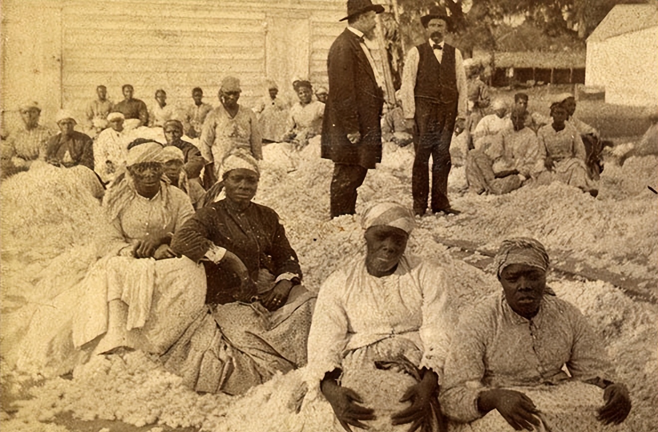 牙买加无夫之国,无父之国牙买加