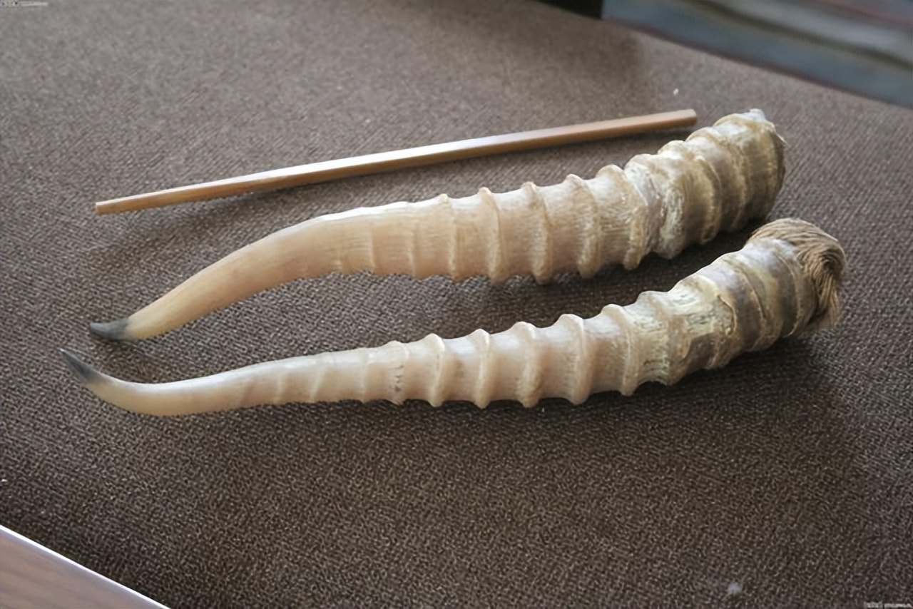 联合用药物治疗高血压指南,中西药结合治疗高血压