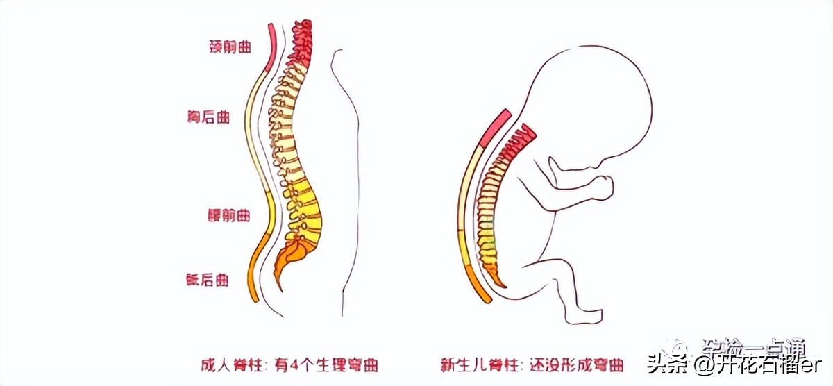 小月龄宝宝习惯把屎把尿如何纠正,8个月宝宝把屎把尿到底好不好